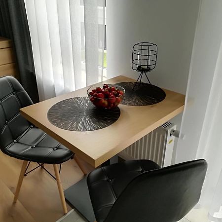 Apartament Wroclaw Centrum Dorzecze Legnickiej Buitenkant foto