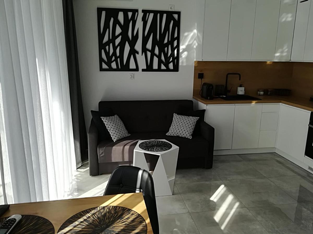 Apartament Wroclaw Centrum Dorzecze Legnickiej Buitenkant foto
